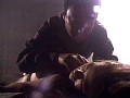 サンプル画像 19