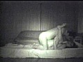 サンプル画像 21