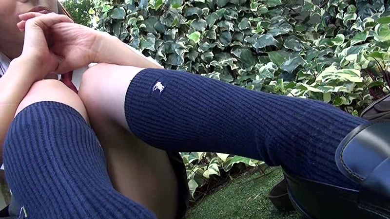 サンプル画像 14