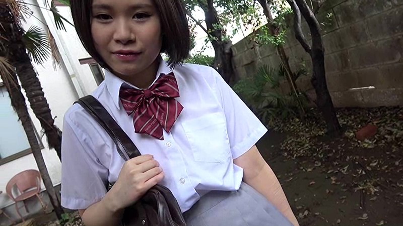 サンプル画像 8