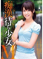 パッケージ画像