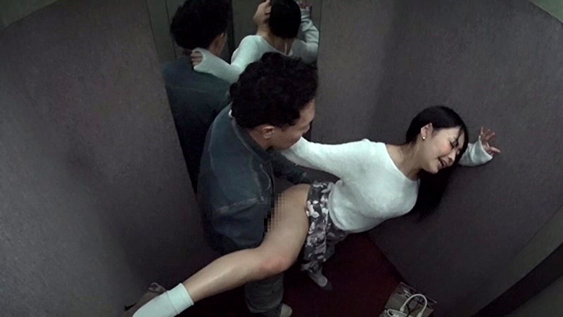 サンプル画像 14