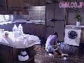 サンプル画像 4