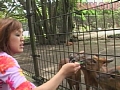 サンプル画像 13