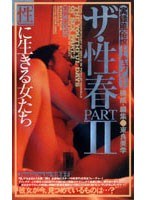 パッケージ画像