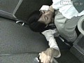 サンプル画像 31
