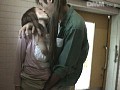 サンプル画像 37