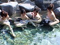 サンプル画像 12