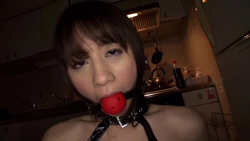 サンプル画像 13