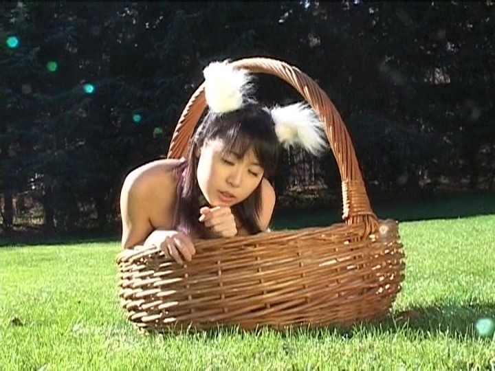 サンプル画像 8