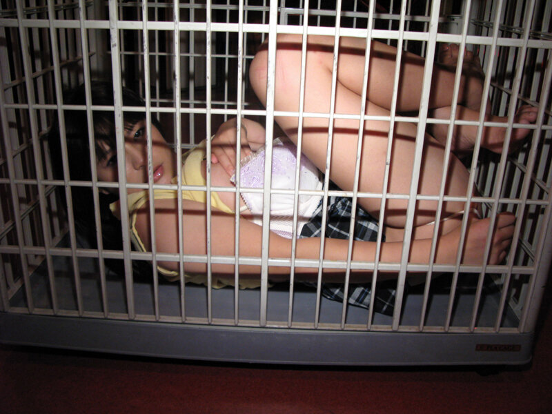 サンプル画像 15