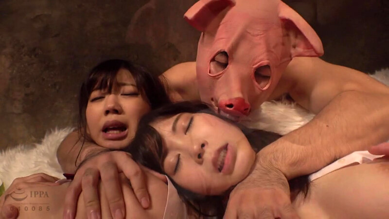 サンプル画像 11