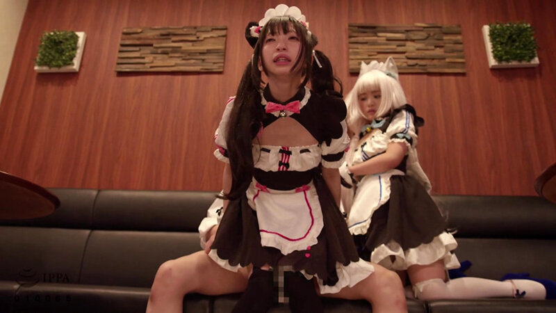 サンプル画像 13