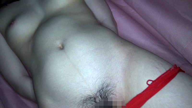 サンプル画像 16