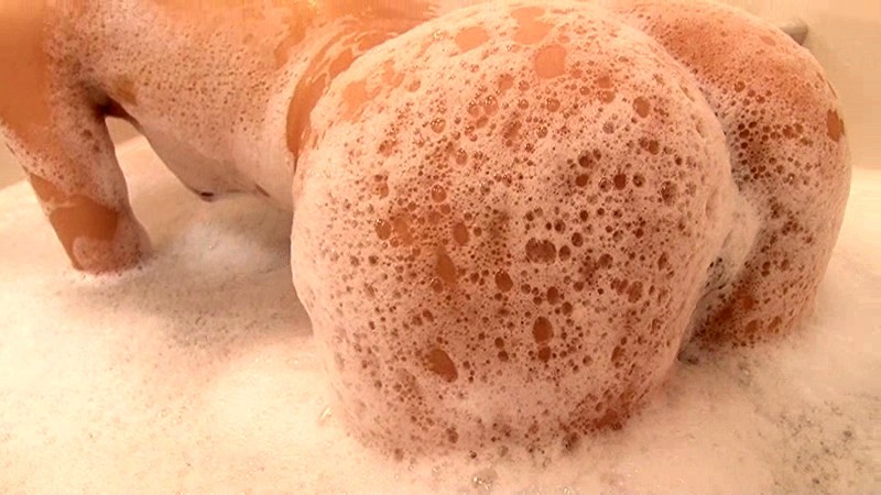 サンプル画像 8