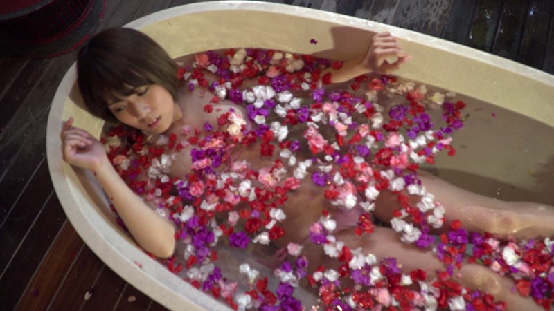 サンプル画像 15