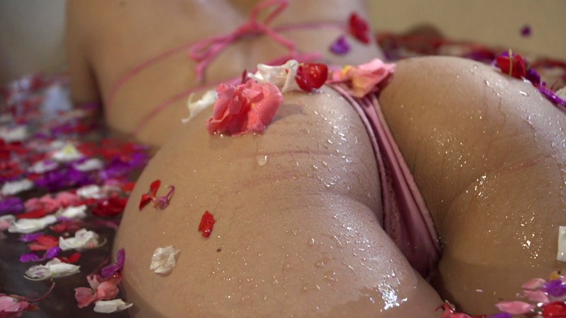 サンプル画像 16