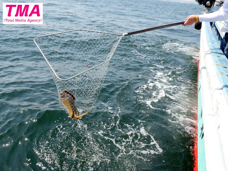 サンプル画像 7