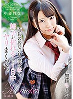 サムネイル画像
