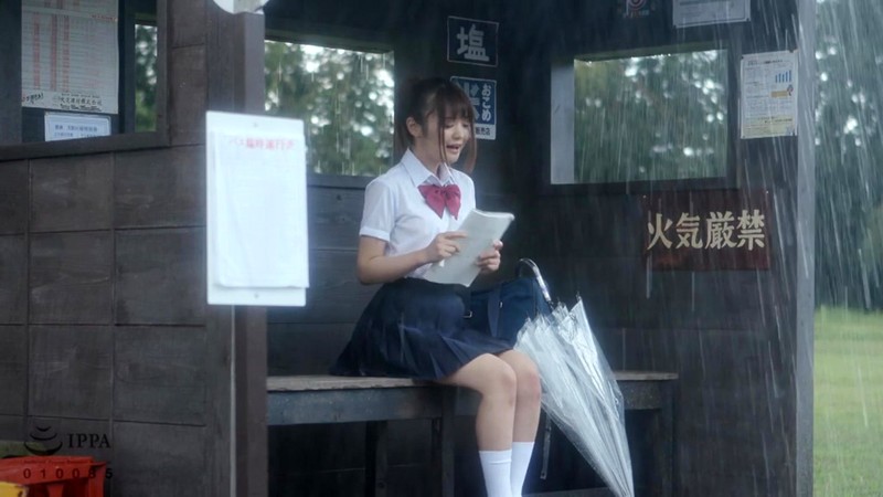 サンプル画像 2