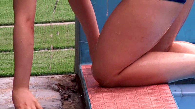 サンプル画像 13