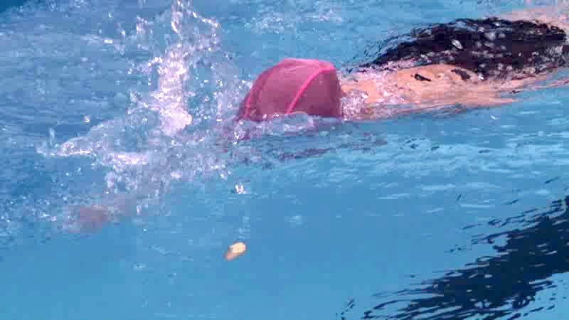 サンプル画像 14