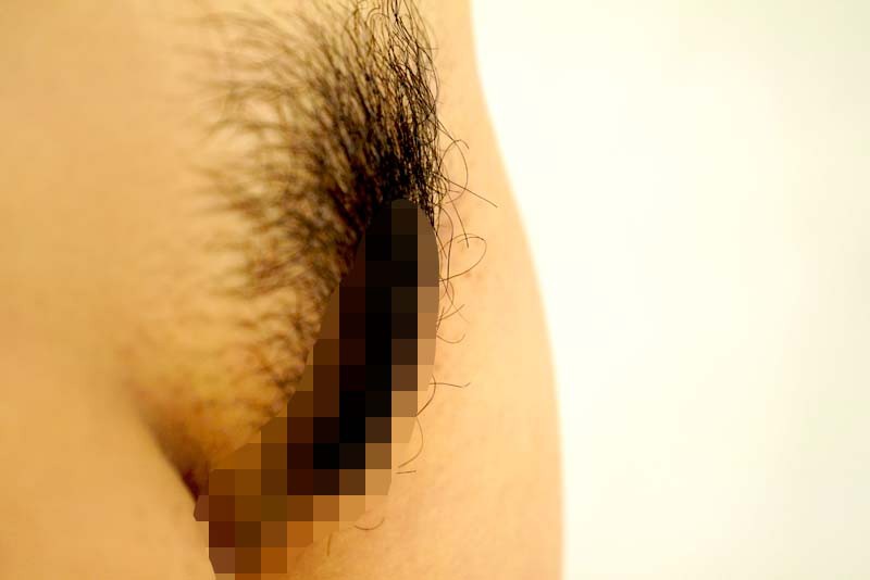 サンプル画像 9