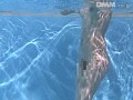 サンプル画像 15
