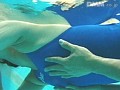 サンプル画像 20