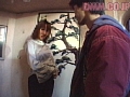 サンプル画像 24