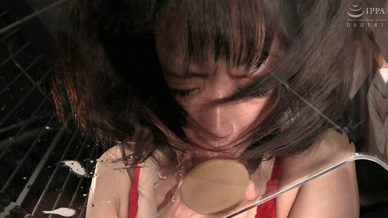 サンプル画像 13