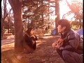 サンプル画像 39