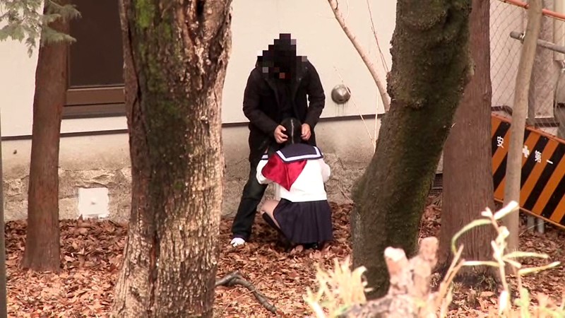 サンプル画像 3