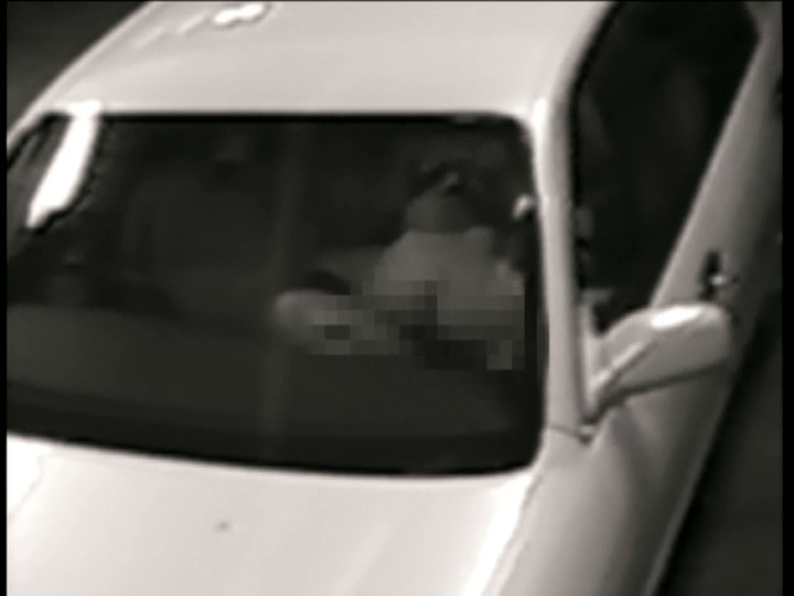 サンプル画像 3