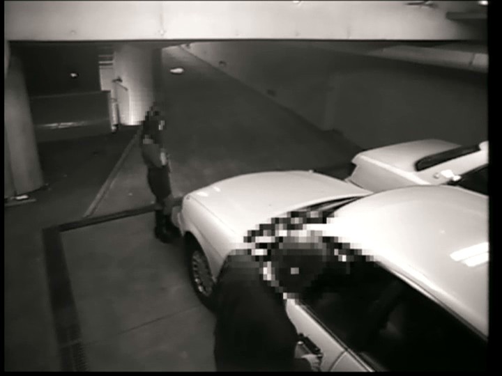 サンプル画像 6