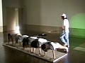サンプル画像 5