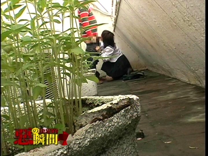 サンプル画像 15