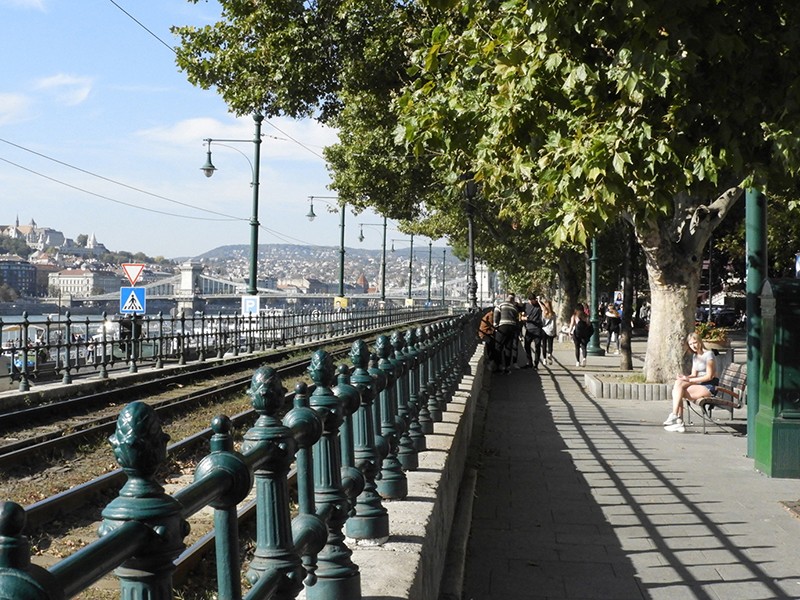 サンプル画像 12