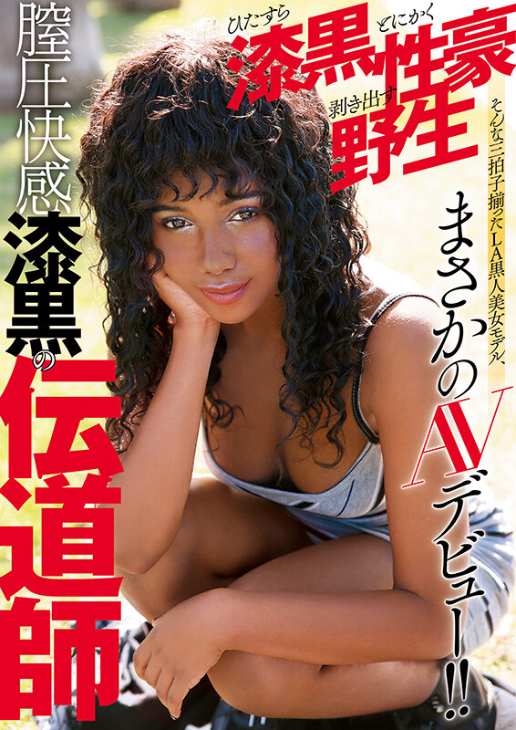 サンプル画像 14