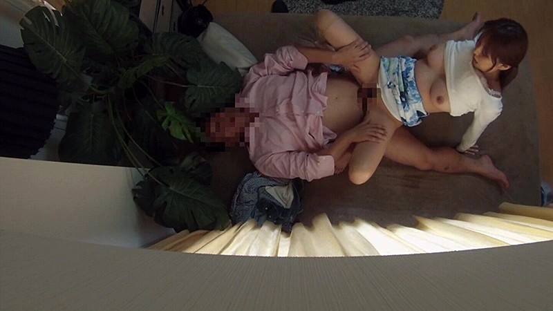 サンプル画像 14