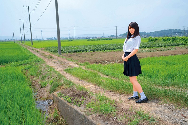 サンプル画像 6