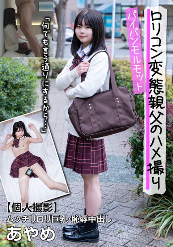 サンプルプレビュー