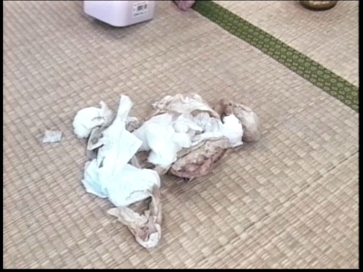 サンプル画像 6