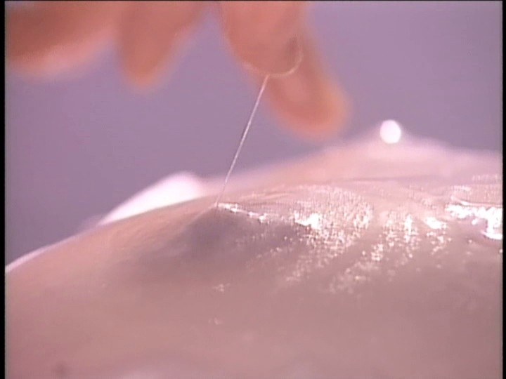 サンプル画像 3