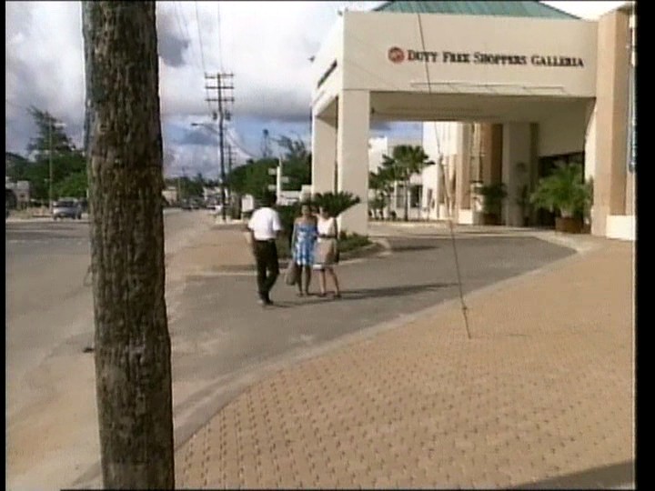 サンプル画像 3