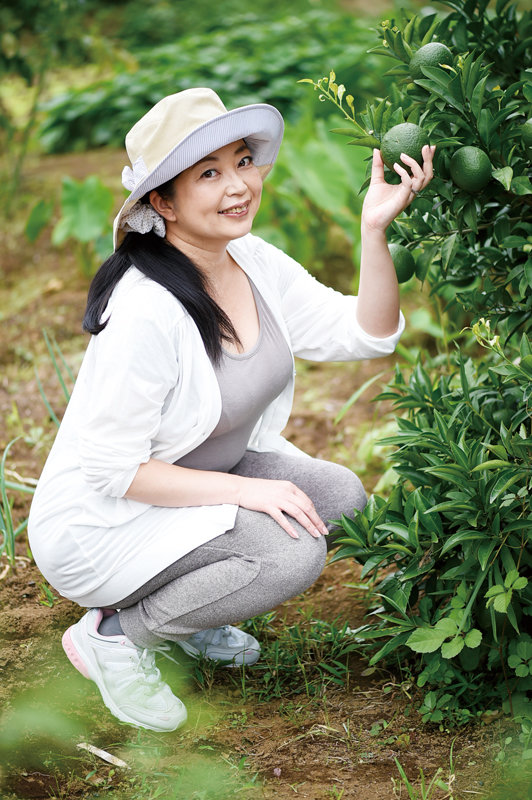 サンプル画像 2