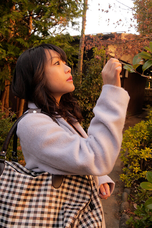 サンプル画像 4