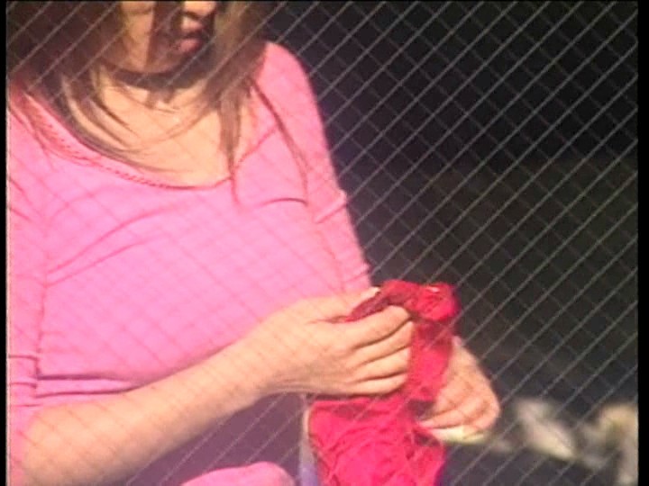 サンプル画像 3