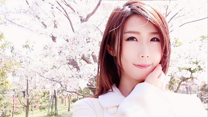 サンプル画像 11