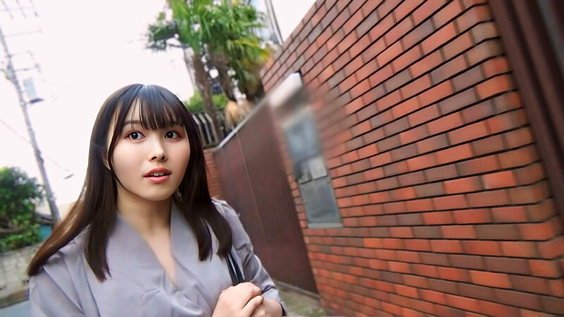 サンプル画像 12